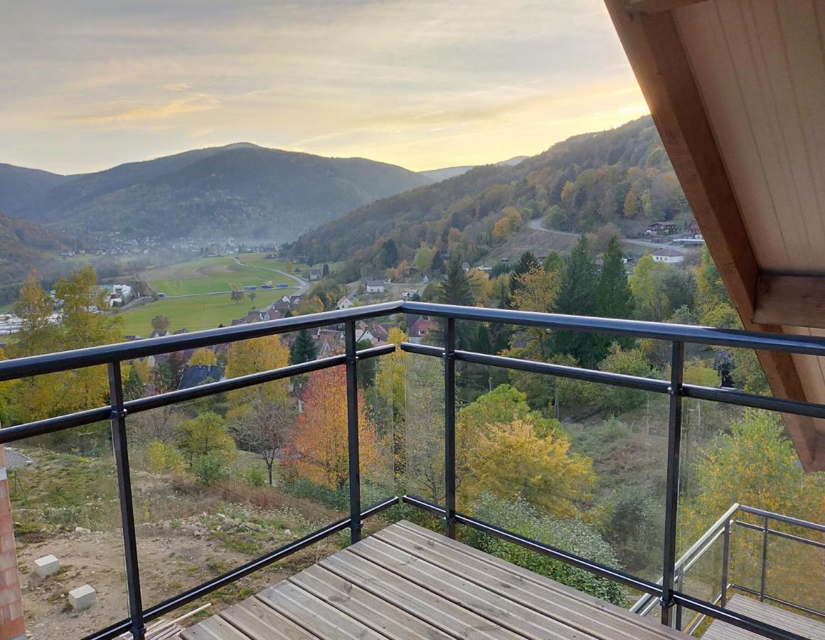 Au Chalet De Jo Muhlbach-sur-Munster Buitenkant foto