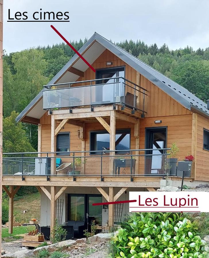Au Chalet De Jo Muhlbach-sur-Munster Buitenkant foto